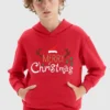 Kids Merry Xmas Holly Hoodie