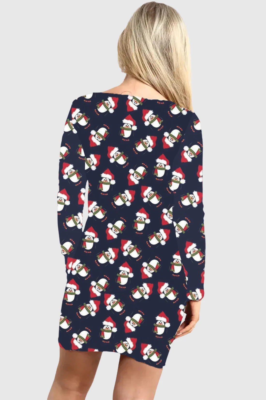 Hat Penguin Christmas Dress