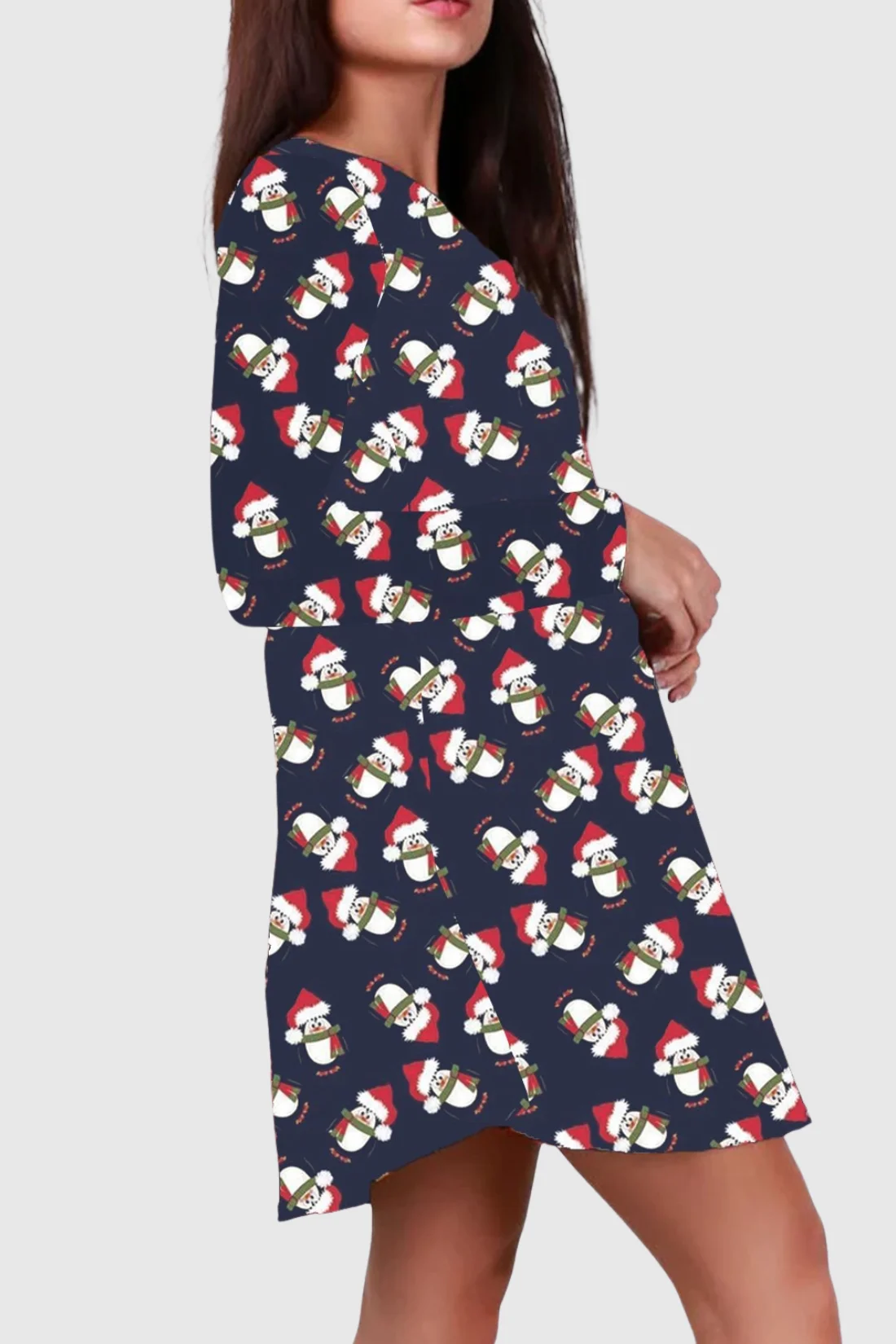 Hat Penguin Christmas Dress